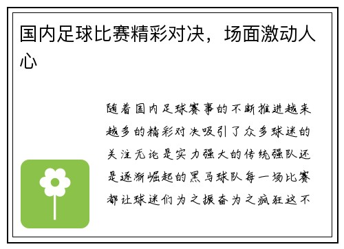国内足球比赛精彩对决,场面激动人心