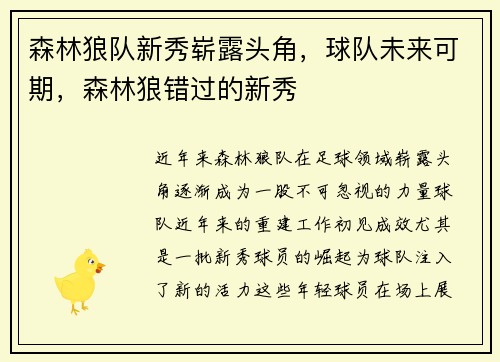 森林狼队新秀崭露头角,球队未来可期,森林狼错过的新秀