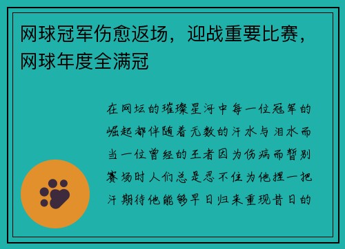 网球冠军伤愈返场,迎战重要比赛,网球年度全满冠