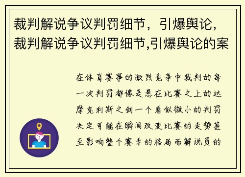 裁判解说争议判罚细节，引爆舆论，裁判解说争议判罚细节,引爆舆论的案例